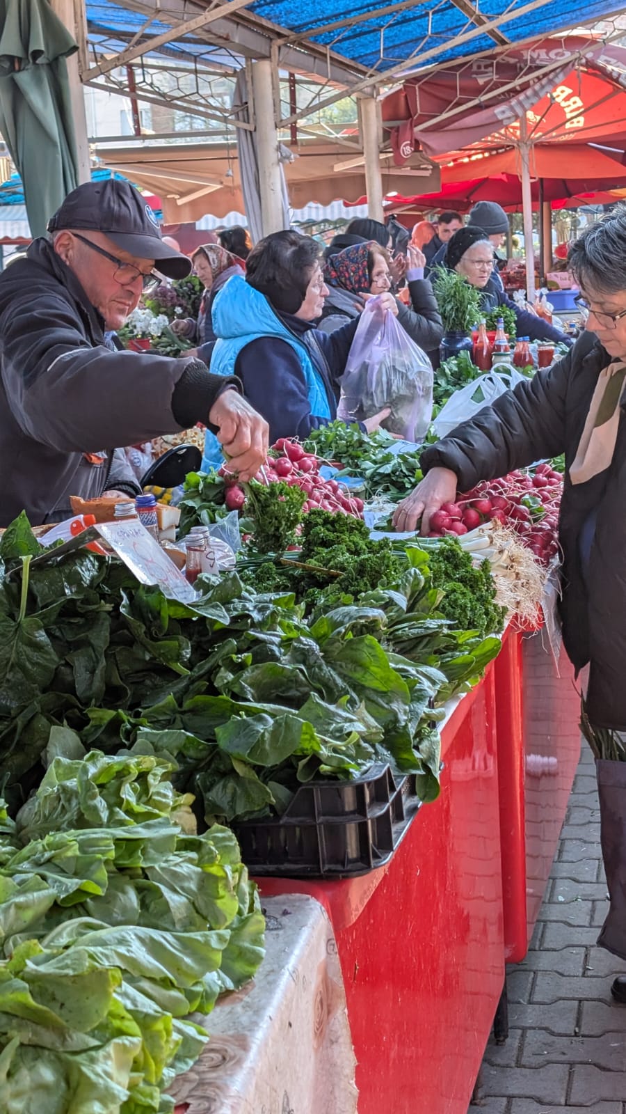 WhatsApp Image 2026-04-10 at 10.10.32 AM (3)