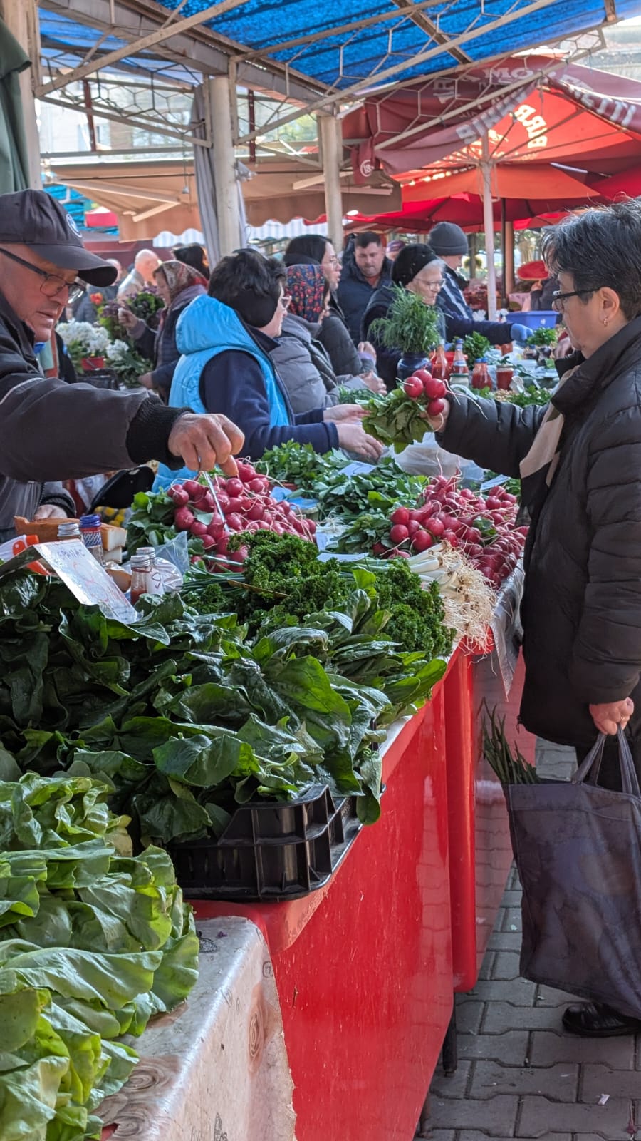 WhatsApp Image 2026-04-10 at 10.10.32 AM (4)