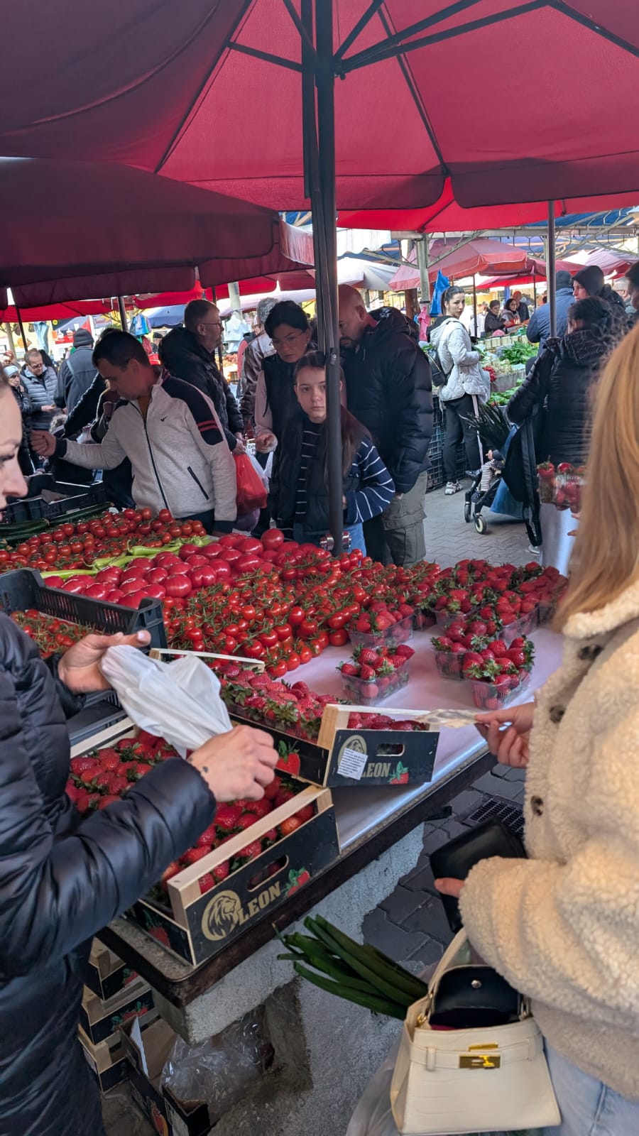 WhatsApp Image 2026-04-10 at 10.10.34 AM (1)