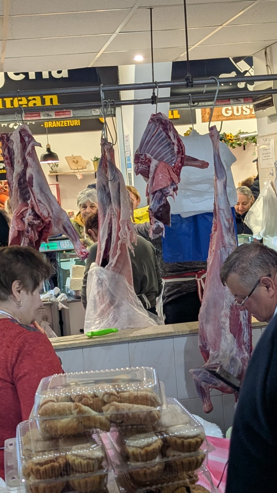 WhatsApp Image 2026-04-10 at 10.10.35 AM (2)