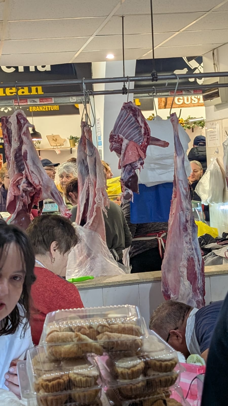 WhatsApp Image 2026-04-10 at 10.10.35 AM (3)