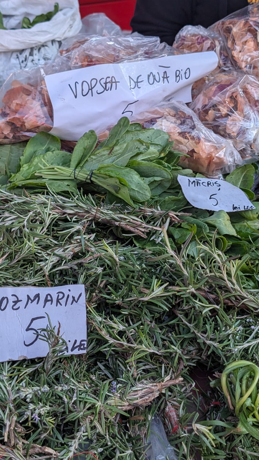 WhatsApp Image 2026-04-10 at 10.20.41 AM