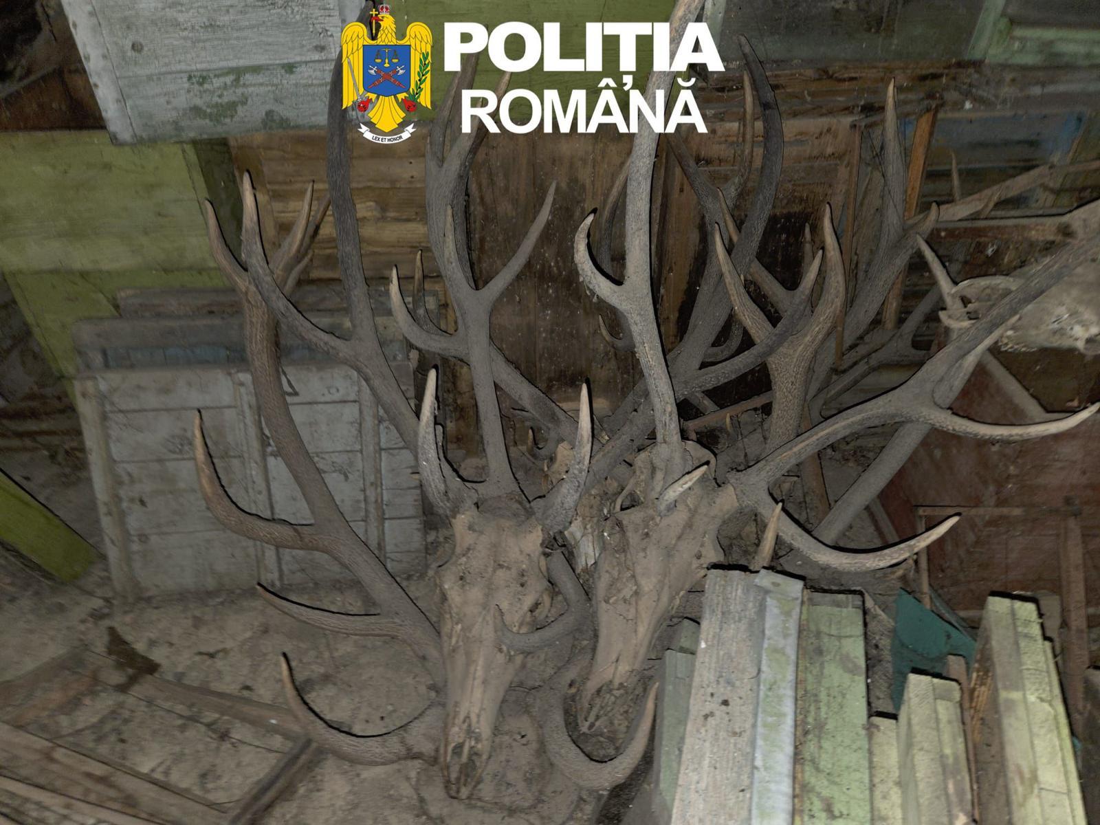 WhatsApp Image 2026-04-10 at 11.47.26 AM (1)