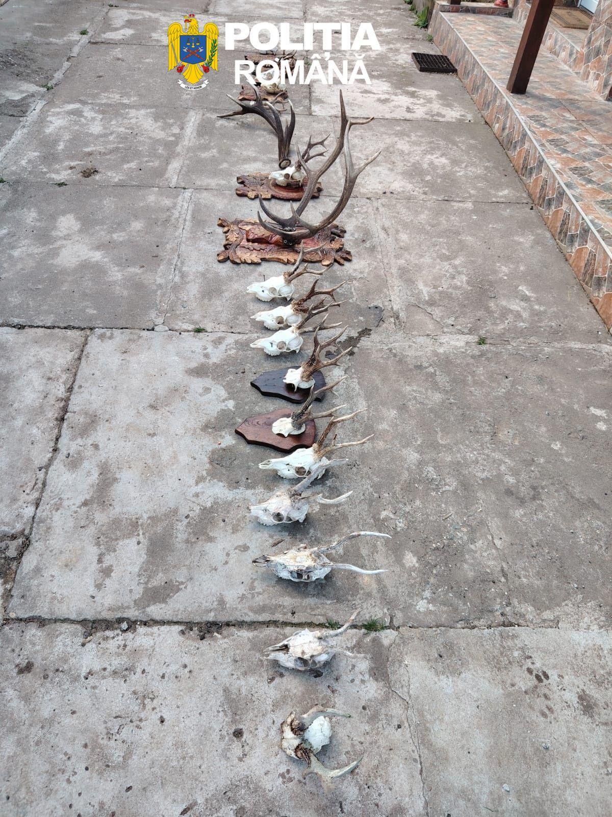 WhatsApp Image 2026-04-10 at 11.47.26 AM (3)