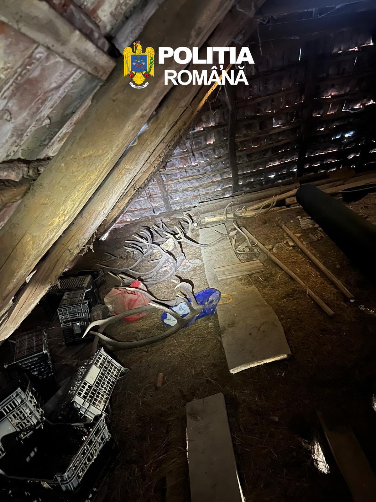 WhatsApp Image 2026-04-10 at 11.47.27 AM (1)