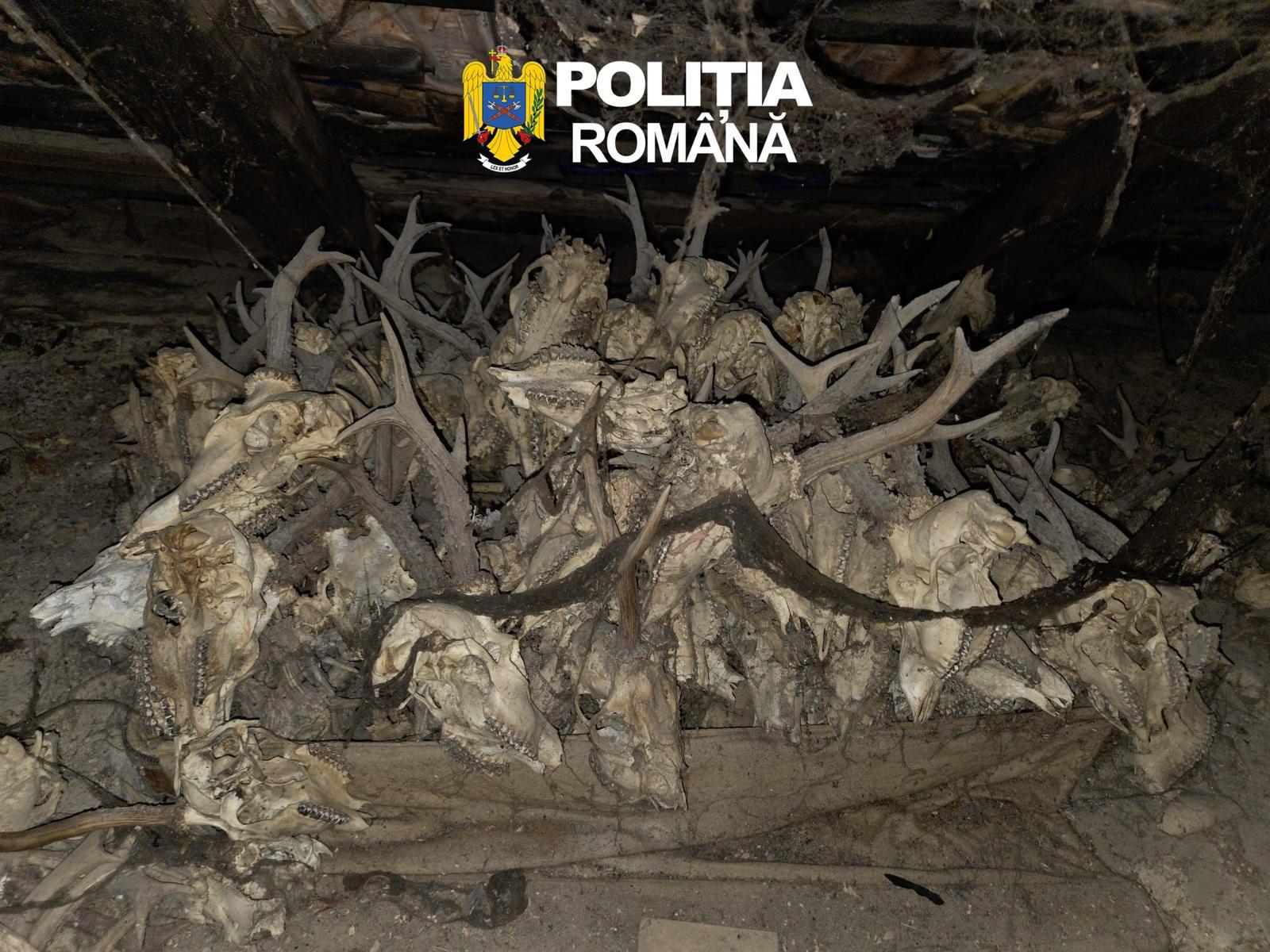 WhatsApp Image 2026-04-10 at 11.47.27 AM (3)