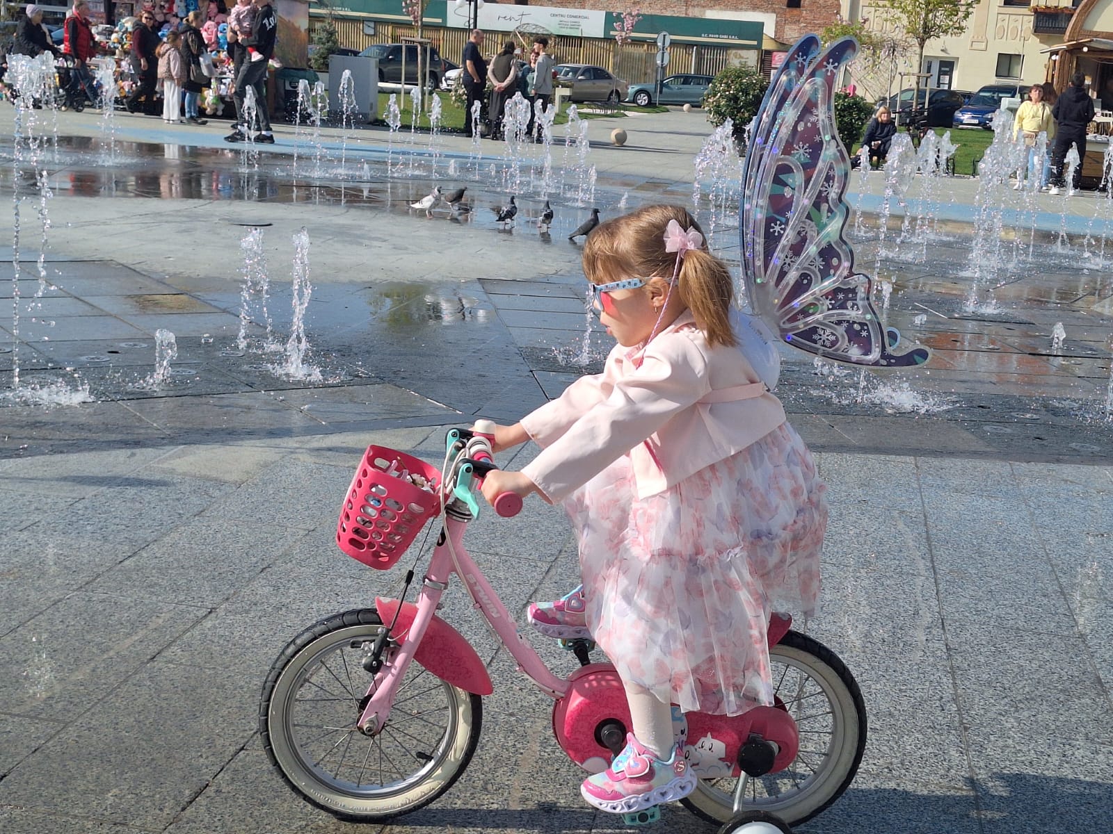 WhatsApp Image 2026-04-12 at 17.47.28