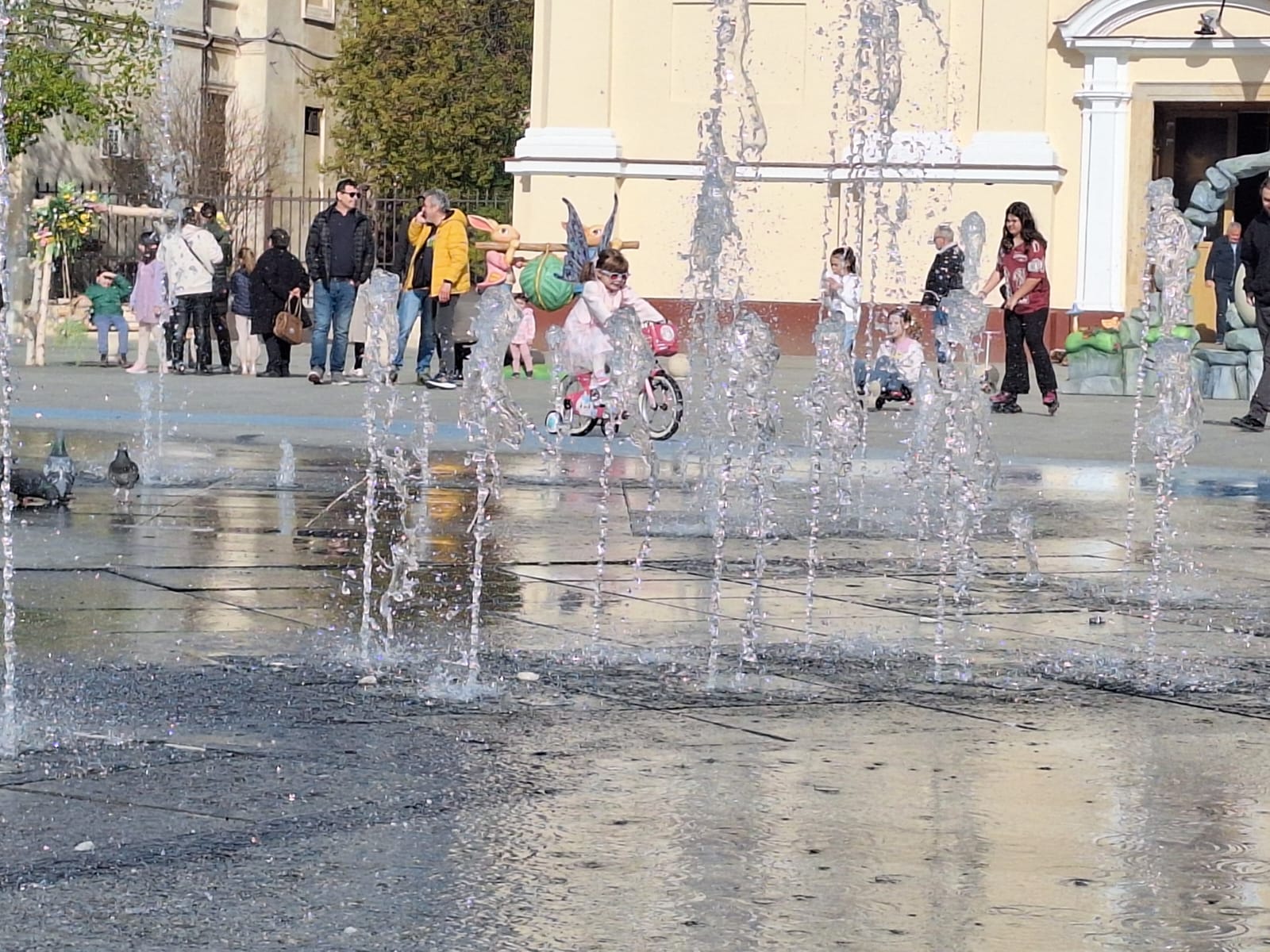 WhatsApp Image 2026-04-12 at 17.47.31 (1)