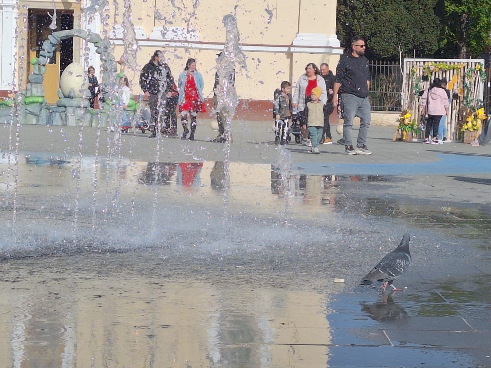 WhatsApp Image 2026-04-12 at 17.47.31