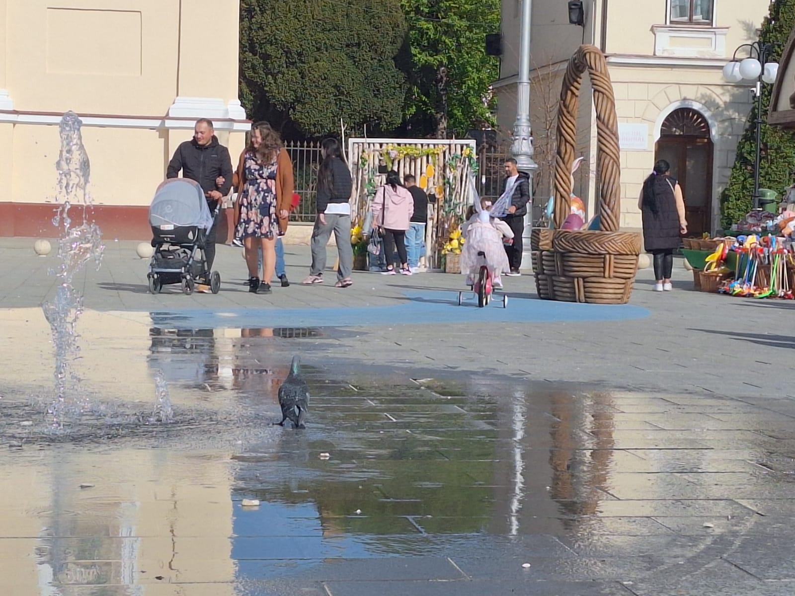 WhatsApp Image 2026-04-12 at 17.47.32