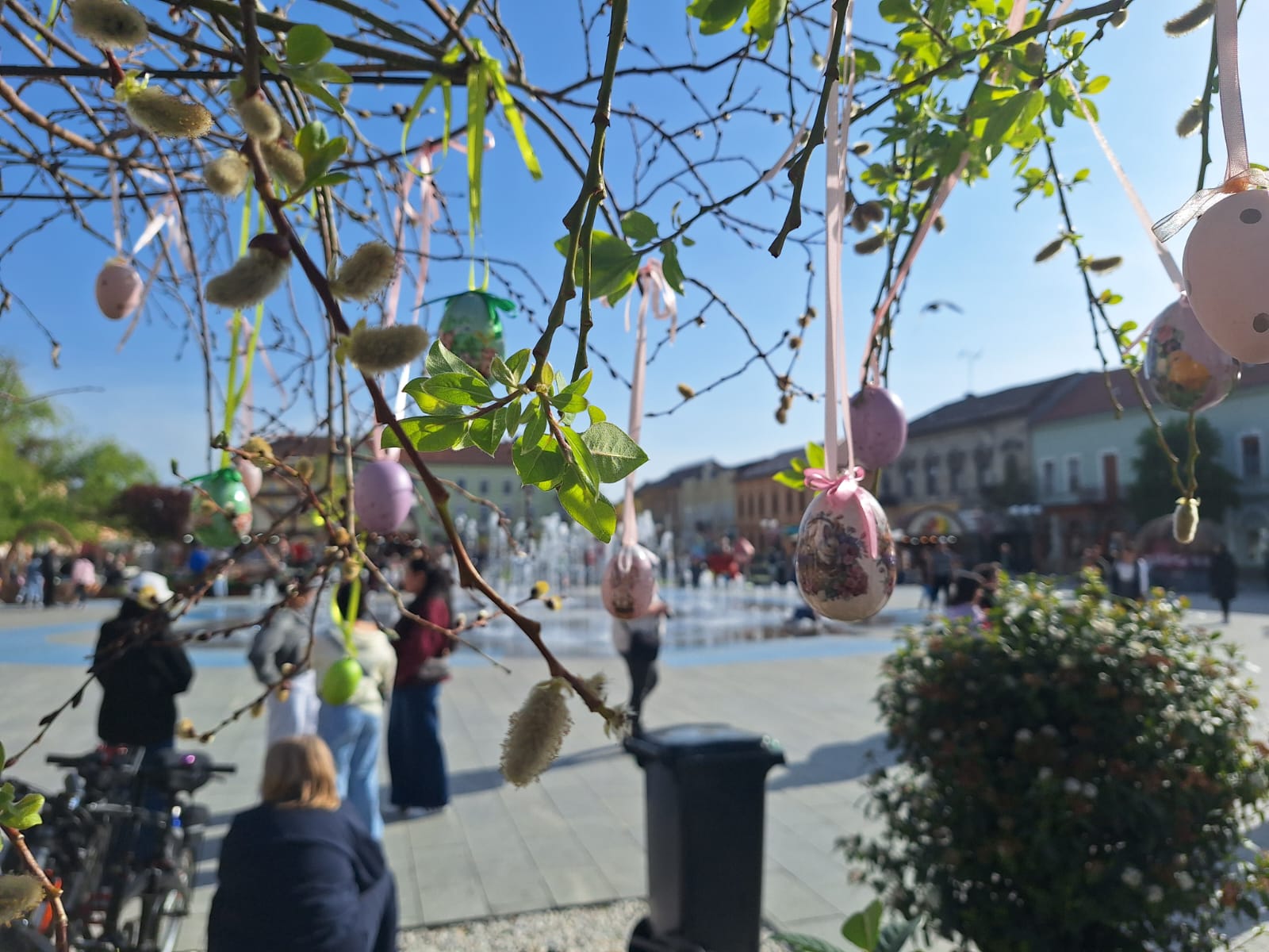 WhatsApp Image 2026-04-12 at 17.47.38 (1)