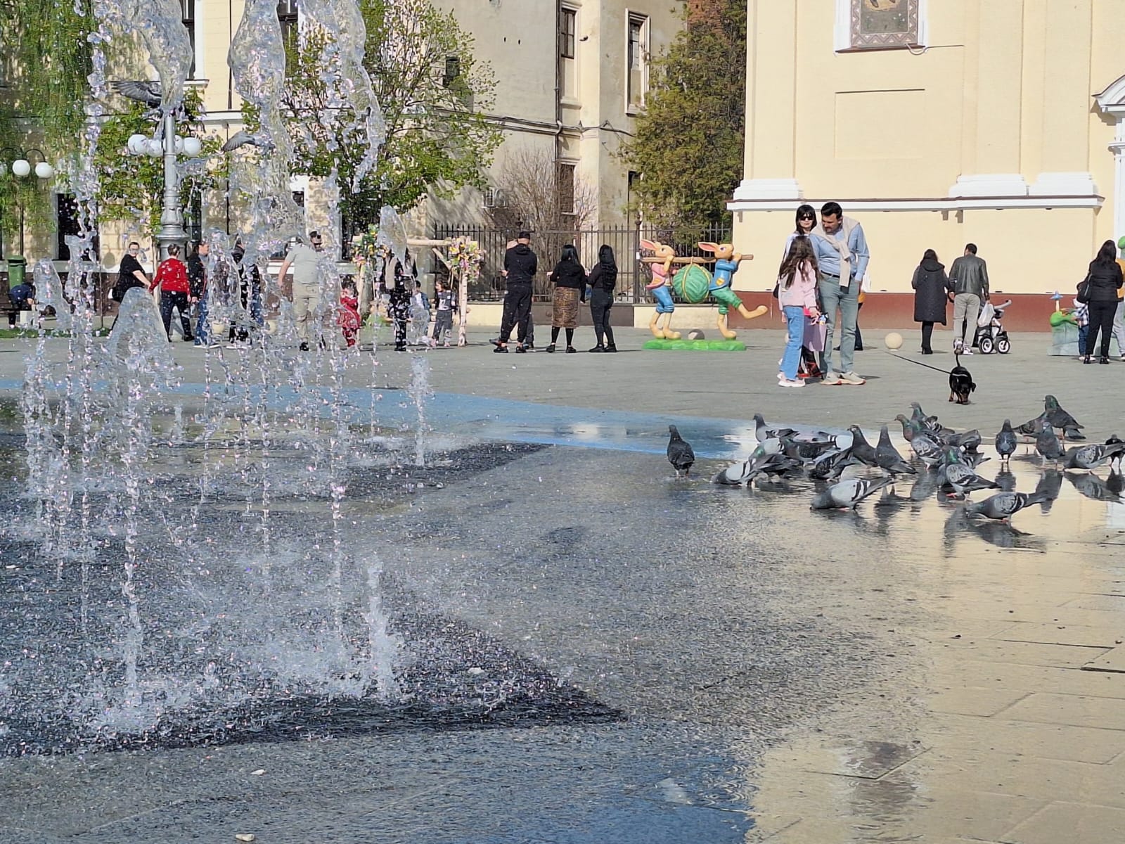 WhatsApp Image 2026-04-12 at 17.47.43 (3)