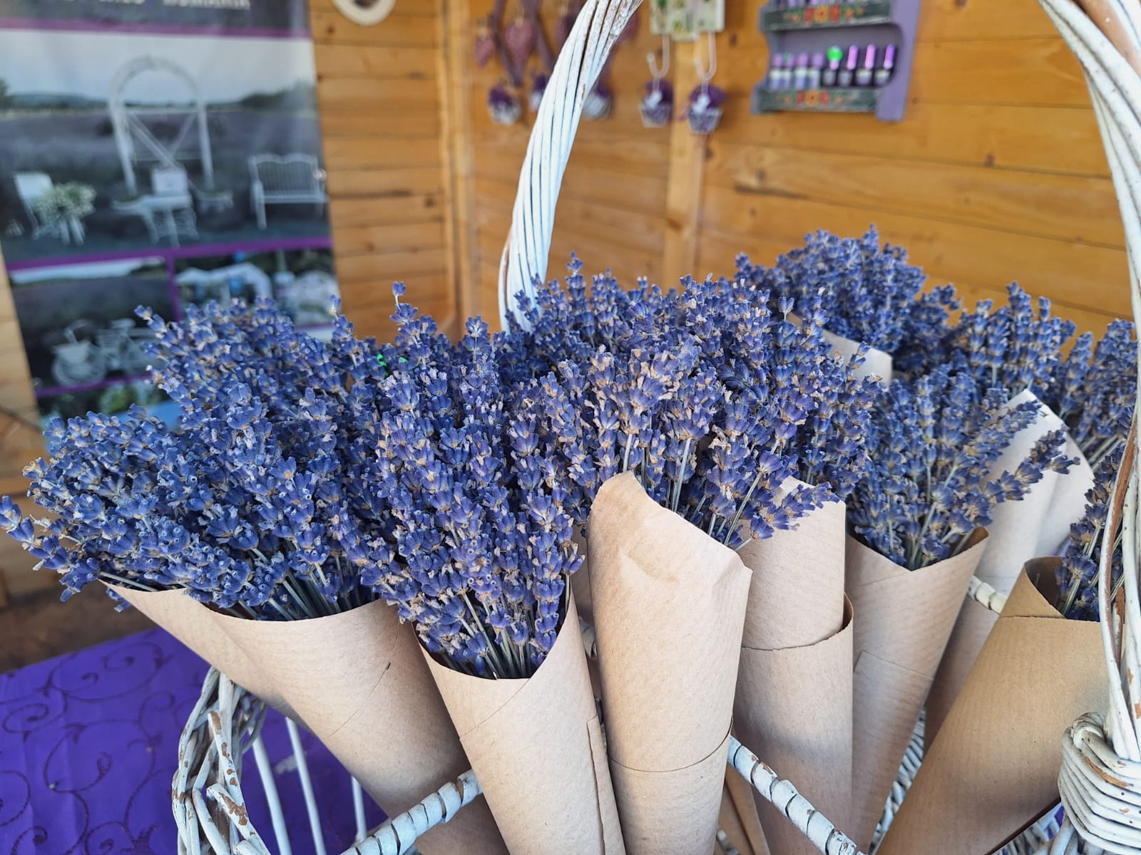 WhatsApp Image 2026-04-12 at 17.47.43