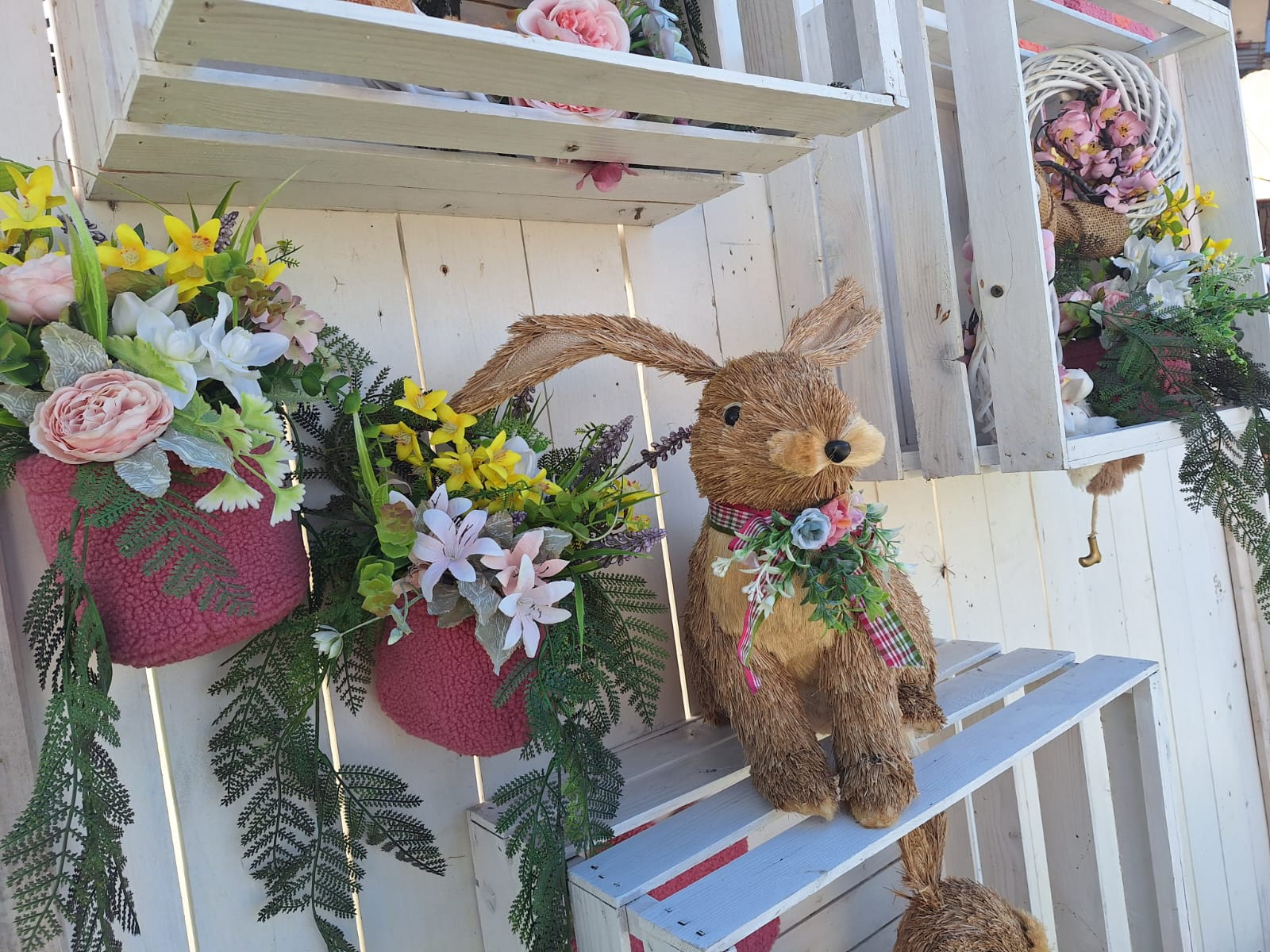 WhatsApp Image 2026-04-12 at 17.47.44 (1)