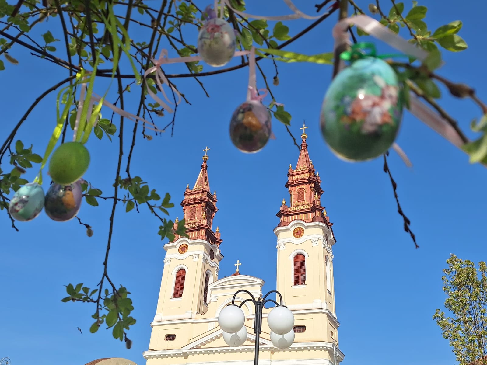 WhatsApp Image 2026-04-12 at 17.47.44 (3)