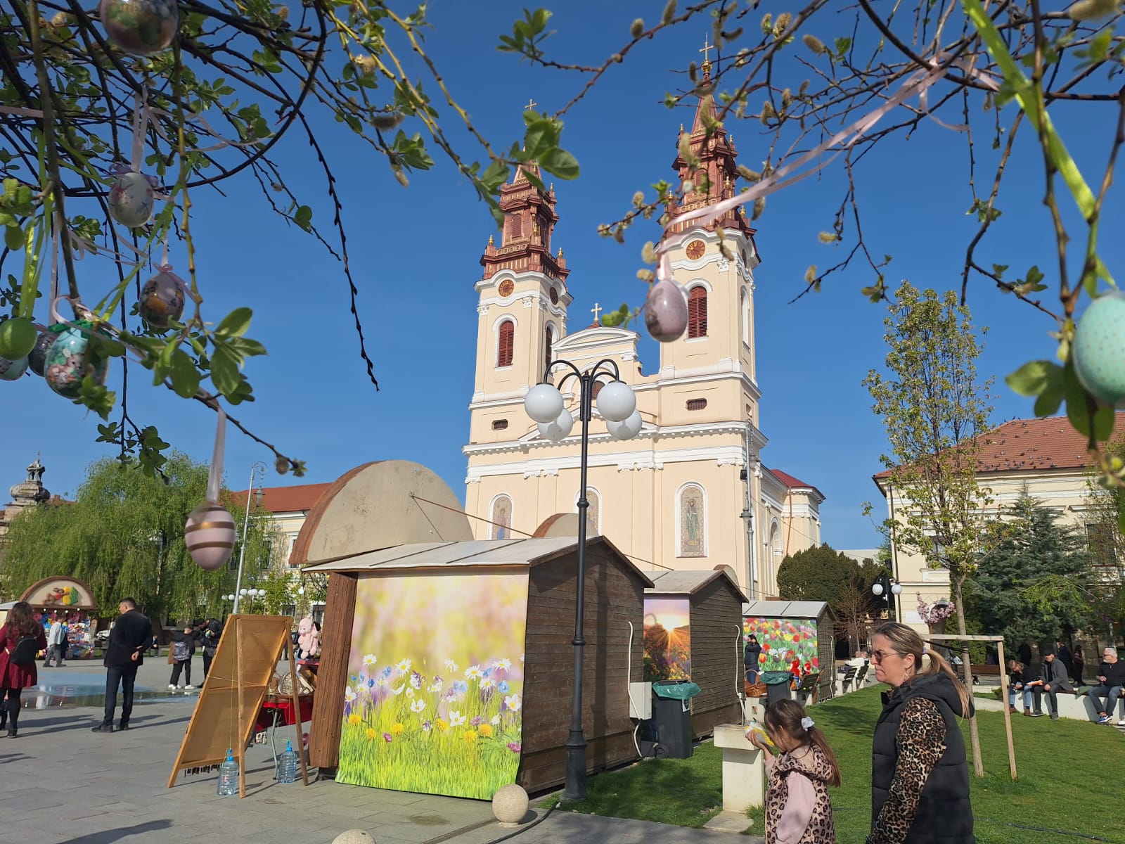 WhatsApp Image 2026-04-12 at 17.47.45