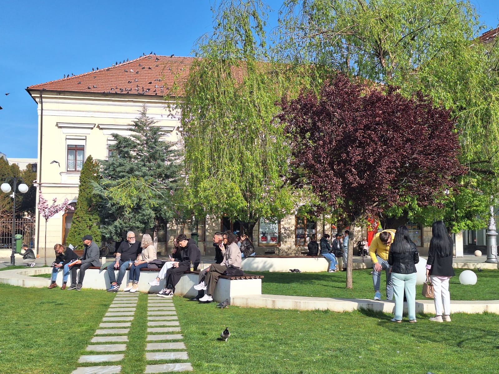 WhatsApp Image 2026-04-12 at 17.47.46