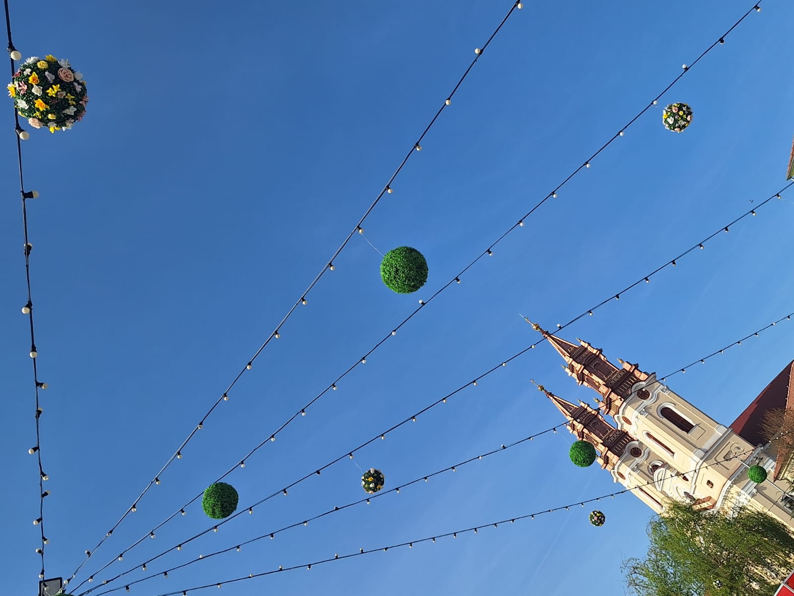 WhatsApp Image 2026-04-12 at 17.47.52 (1)