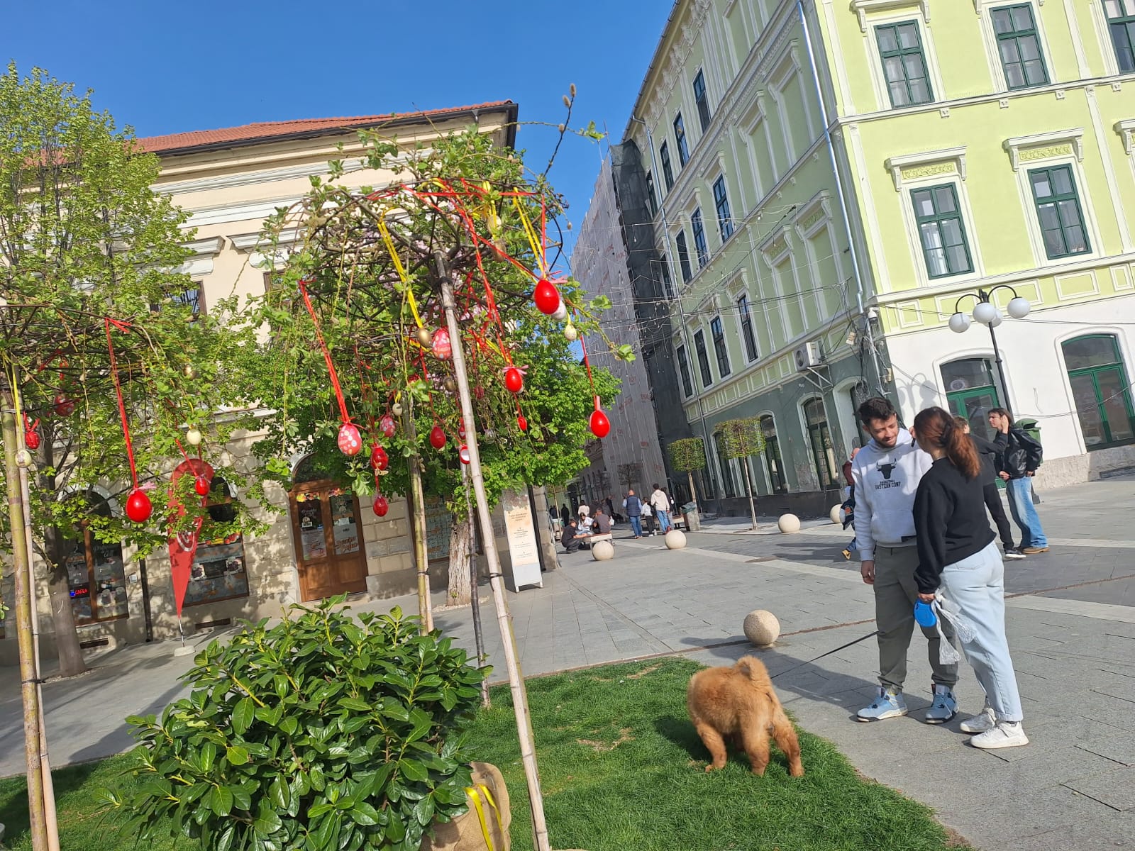 WhatsApp Image 2026-04-12 at 17.47.55 (2)