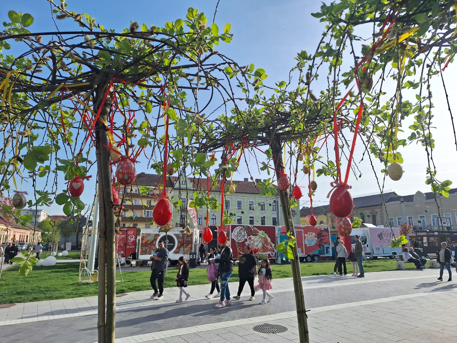 WhatsApp Image 2026-04-12 at 17.47.55 (3)