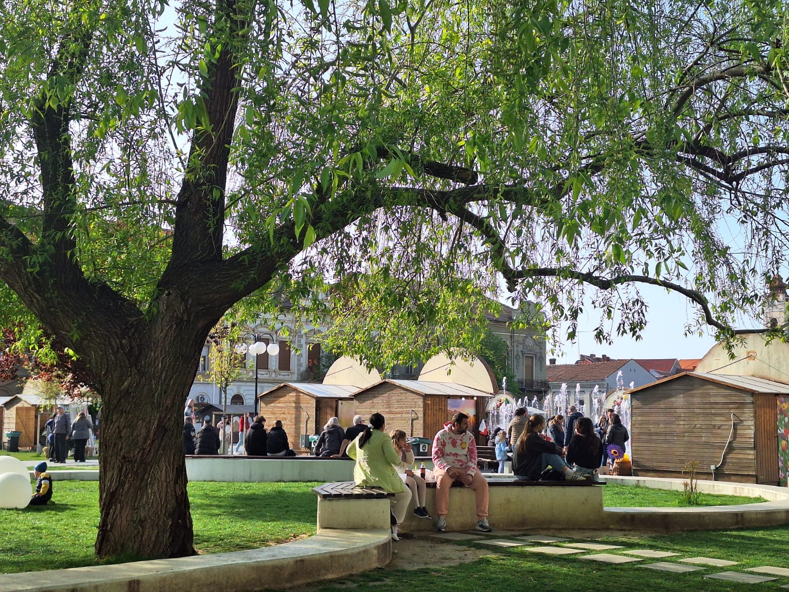 WhatsApp Image 2026-04-12 at 17.47.55 (4)