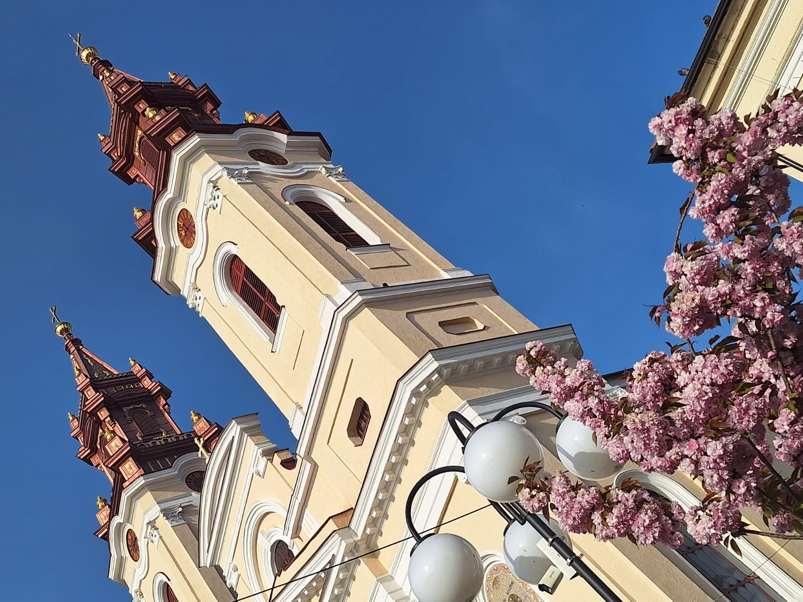 WhatsApp Image 2026-04-12 at 17.47.55 (8)