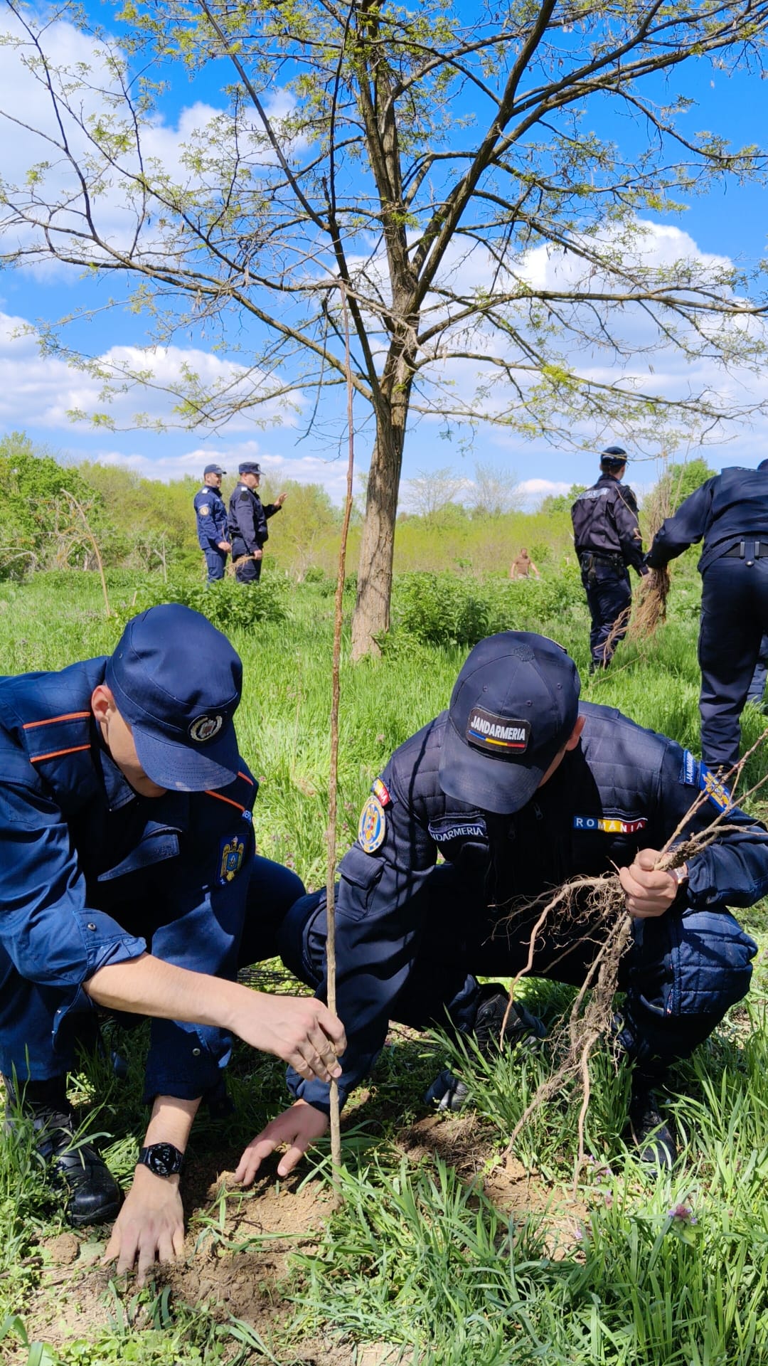 WhatsApp Image 2026-04-22 at 20.08.52 (4)