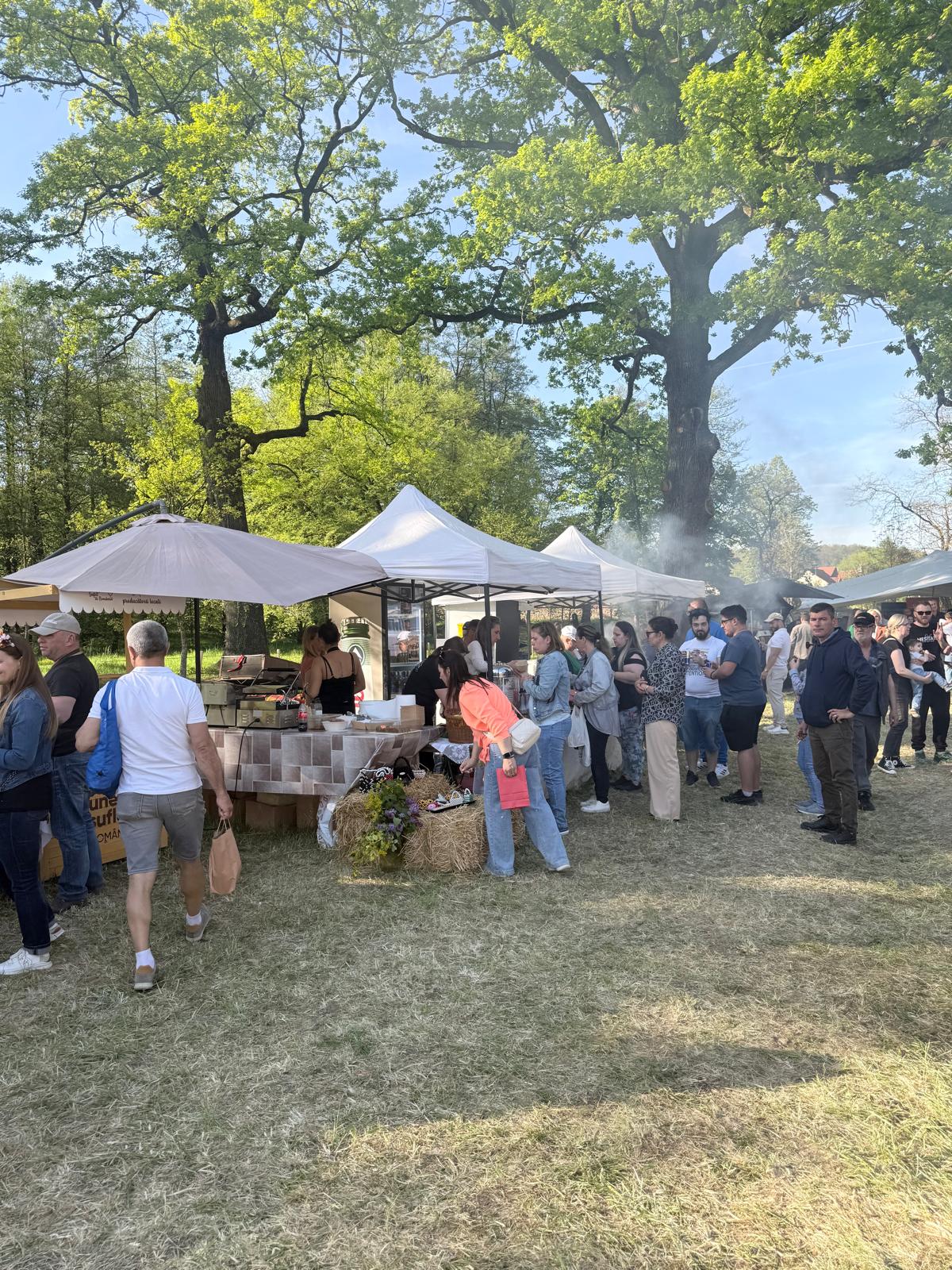 WhatsApp Image 2026-04-26 at 19.48.51 (1)