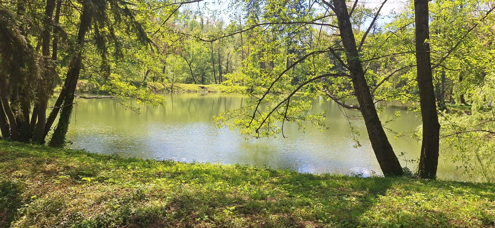 WhatsApp Image 2026-04-26 at 19.49.53 (3)