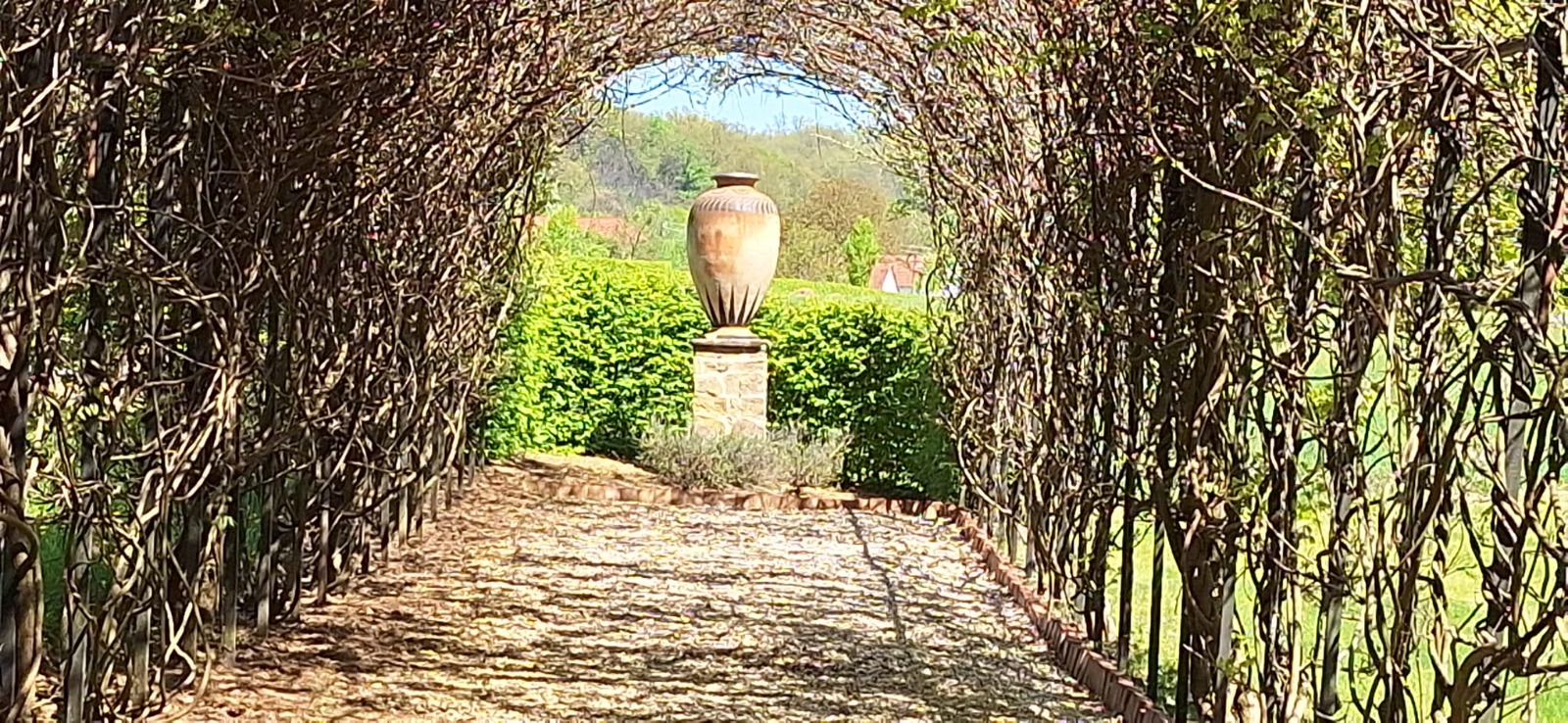 WhatsApp Image 2026-04-26 at 19.49.53