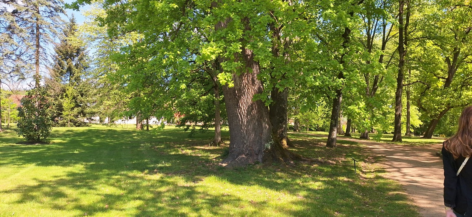 WhatsApp Image 2026-04-26 at 19.49.54 (14)