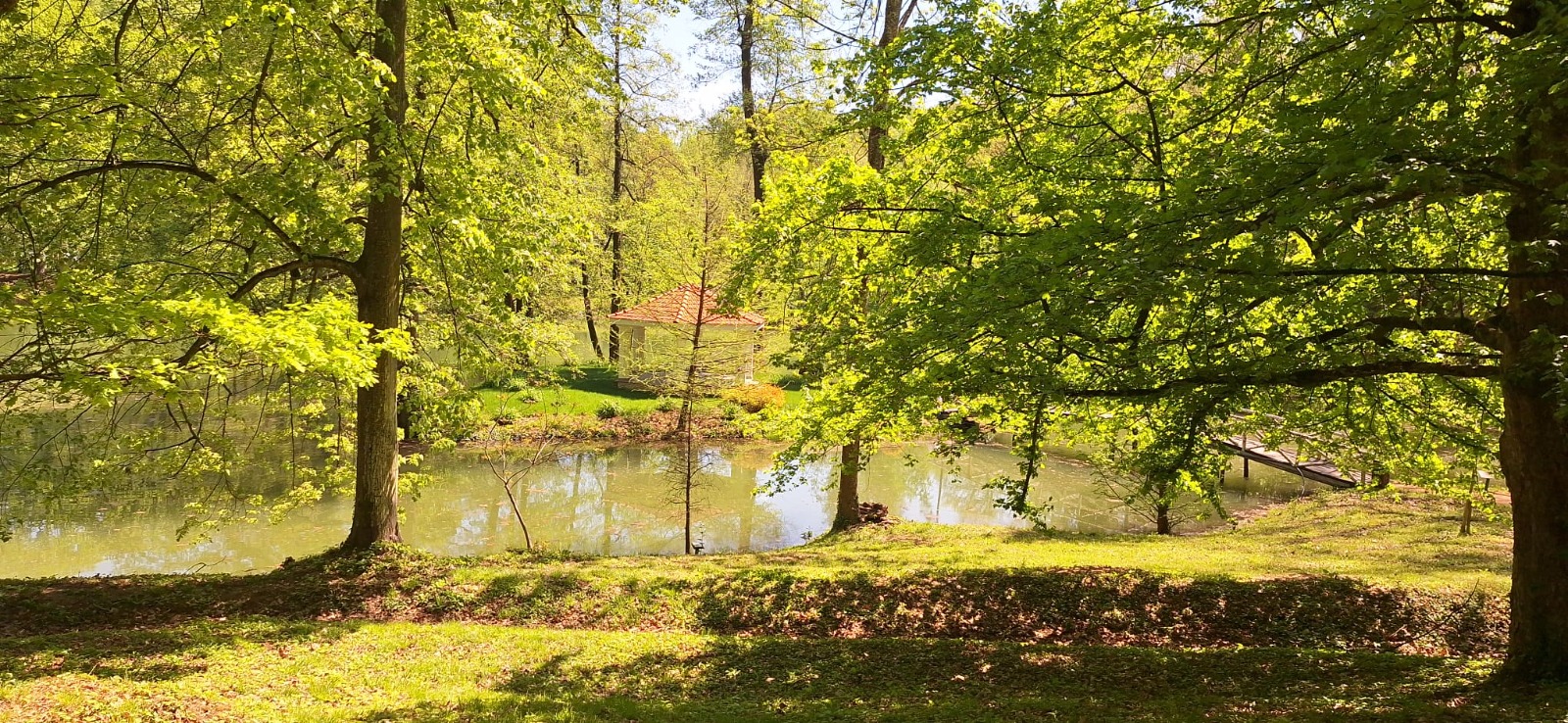 WhatsApp Image 2026-04-26 at 19.49.54 (44)