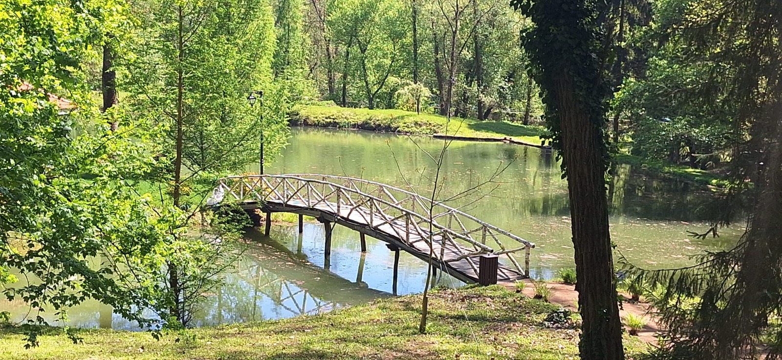 WhatsApp Image 2026-04-26 at 19.49.54 (45)