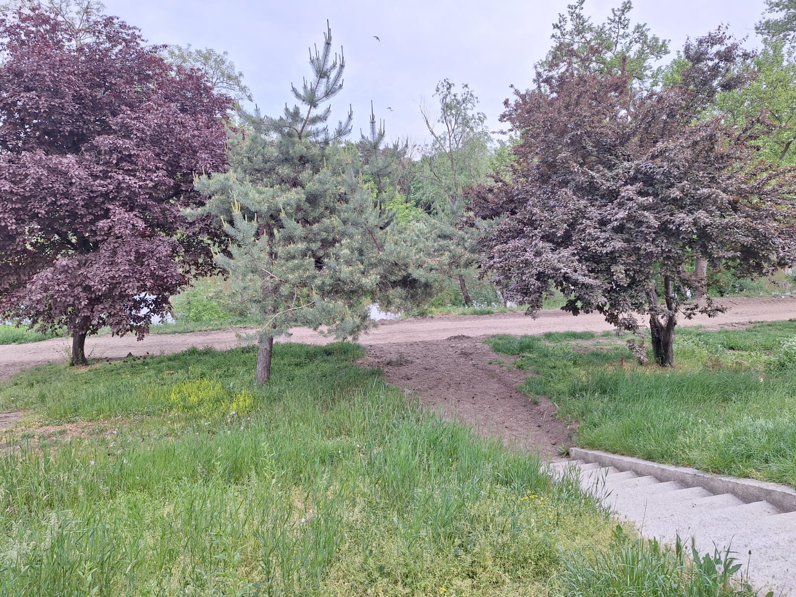 4d3e6413-922b-4f0b-b21b-46fea13dd131