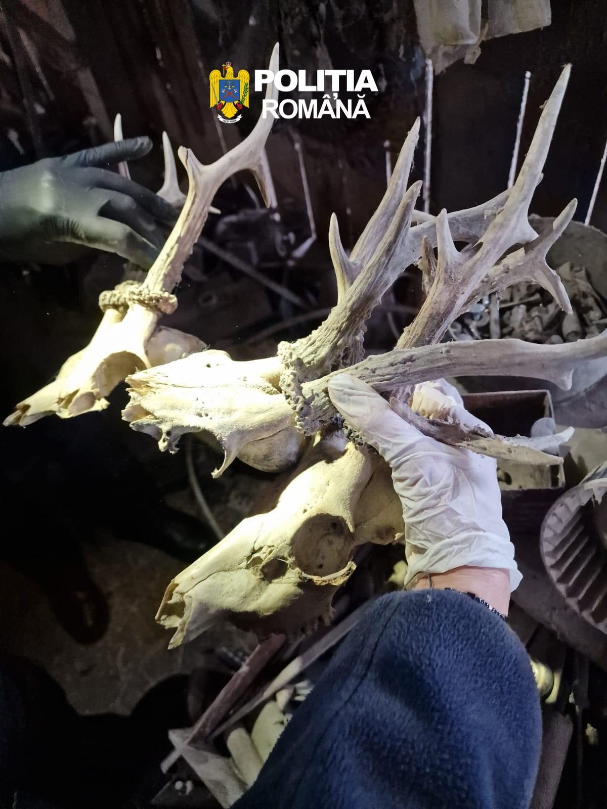 WhatsApp Image 2026-04-30 at 6.14.43 PM