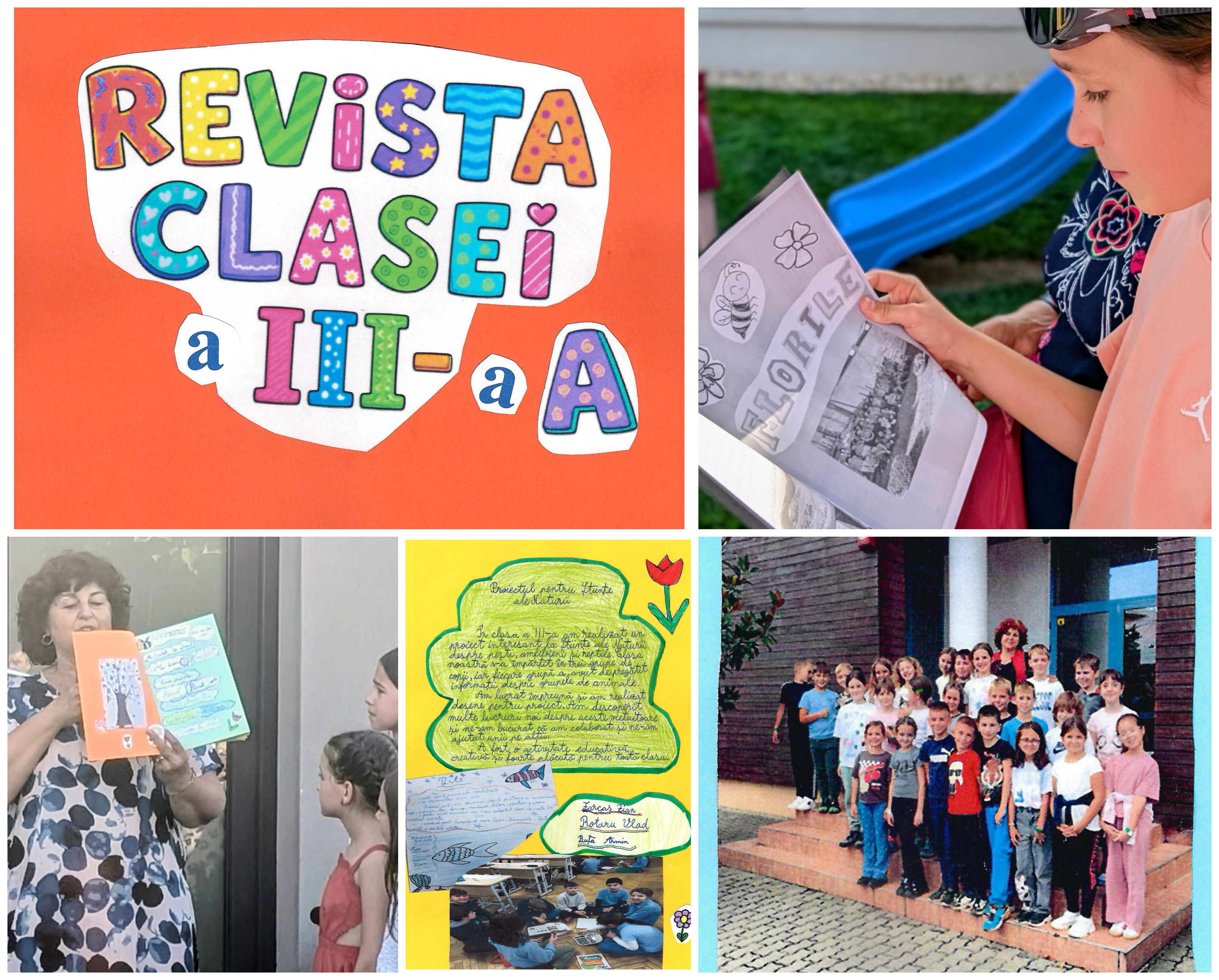 colaj revista