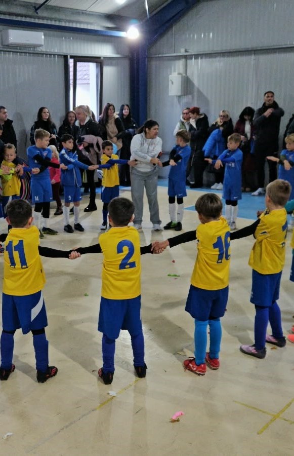10 activitate K 10